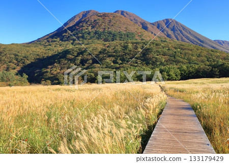 [Oita Prefecture] Tadewara Marsh and the autumn foliage of the Kuju Mountains as seen from Chojabara Park 133179429