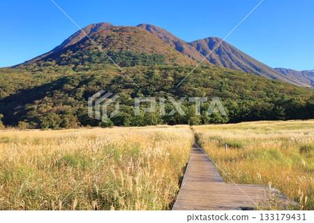 【大分縣】從長崎公園眺望手原濕地和九重山脈的秋葉 133179431