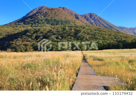 [Oita Prefecture] Tadewara Marsh and the autumn foliage of the Kuju Mountains as seen from Chojabara Park 133179432