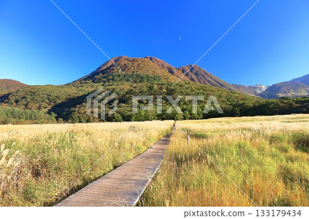 [Oita Prefecture] Tadewara Marsh and the autumn foliage of the Kuju Mountains as seen from Chojabara Park 133179434