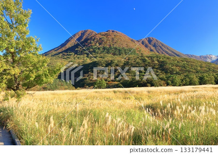 [Oita Prefecture] Tadewara Marsh and the autumn foliage of the Kuju Mountains as seen from Chojabara Park 133179441