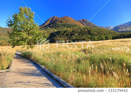 【大分縣】從長崎公園眺望手原濕地和九重山脈的秋葉 【大分縣】從長崎公園眺望手原濕地和九重山脈的秋葉 133179442
