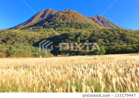 【大分縣】從長崎公園眺望手原濕地和九重山脈的秋葉 【大分縣】從長崎公園眺望手原濕地和九重山脈的秋葉 133179447