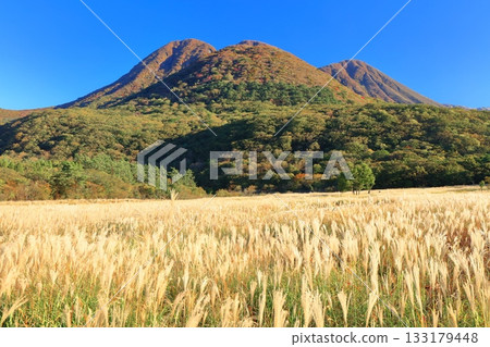 [Oita Prefecture] Tadewara Marsh and the autumn foliage of the Kuju Mountains as seen from Chojabara Park 133179448