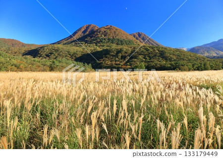 【大分縣】從長崎公園眺望手原濕地和九重山脈的秋葉 133179449