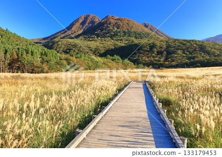 [Oita Prefecture] Tadewara Marsh and the autumn foliage of the Kuju Mountains as seen from Chojabara Park 133179453