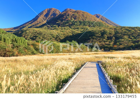 [Oita Prefecture] Tadewara Marsh and the autumn foliage of the Kuju Mountains as seen from Chojabara Park 133179455