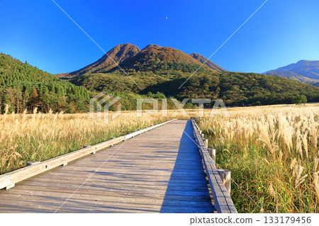 【大分縣】從長崎公園眺望手原濕地和九重山脈的秋葉 133179456