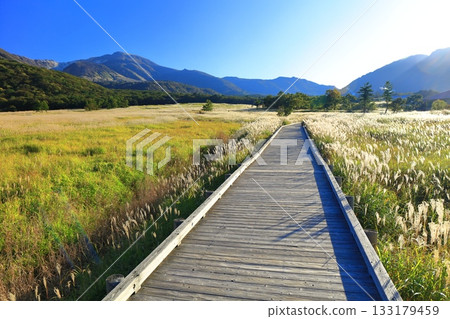 【大分縣】從長崎公園眺望手原濕地和九重山脈的秋葉 133179459