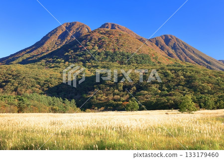 [Oita Prefecture] Tadewara Marsh and the autumn foliage of the Kuju Mountains as seen from Chojabara Park 133179460