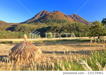 【大分縣】從長崎公園眺望手原濕地和九重山脈的秋葉 133179461
