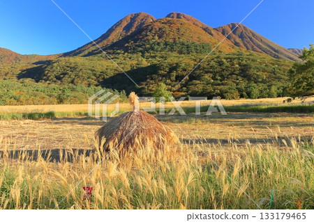 [Oita Prefecture] Tadewara Marsh and the autumn foliage of the Kuju Mountains as seen from Chojabara Park 133179465