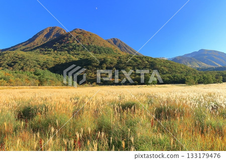 [Oita Prefecture] Tadewara Marsh and the autumn foliage of the Kuju Mountains as seen from Chojabara Park 133179476