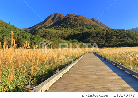 【大分縣】從長崎公園眺望手原濕地和九重山脈的秋葉 【大分縣】從長崎公園眺望手原濕地和九重山脈的秋葉 133179478