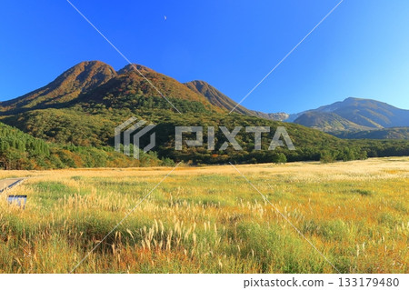 [Oita Prefecture] Tadewara Marsh and the autumn foliage of the Kuju Mountains as seen from Chojabara Park 133179480