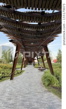 Modern architectural pathway with wooden overhead design amidst urban park setting 133179873
