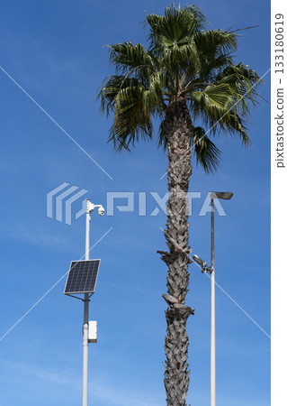 Smart Traffic Camera Mast Beside Palm Tree in South European Cityscape Smart Traffic Camera Mast Beside Palm Tree in South European Cityscape 133180619