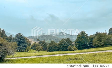 Lush green landscape with rolling hills and misty mountains in the background, showcasing a serene natural environment and tranquil atmosphere Lush green landscape with rolling hills and misty mountains in the background, showcasing a serene natural environment and tranquil atmosphere 133180775