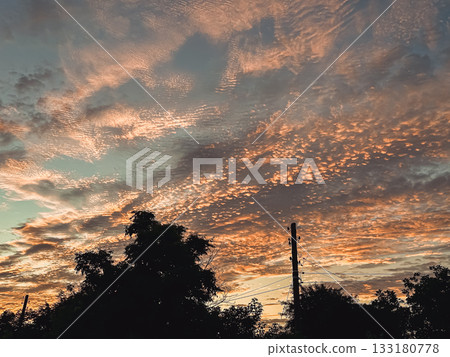 Dramatic sunset sky with vibrant clouds and silhouettes of trees against a colorful backdrop Dramatic sunset sky with vibrant clouds and silhouettes of trees against a colorful backdrop 133180778