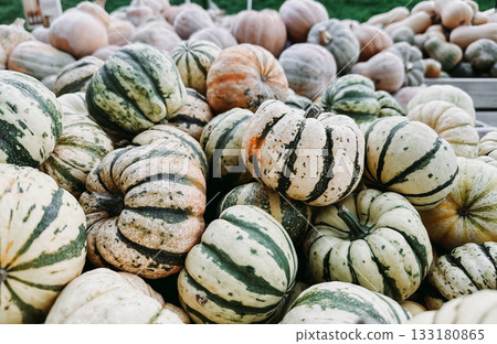 Pile of pumpkins with stripes and spots Pile of pumpkins with stripes and spots 133180865
