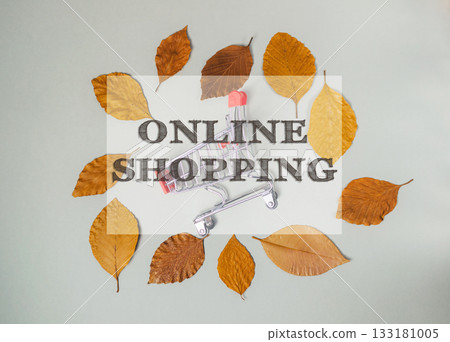 Shopping cart is surrounded by leaves and the words online shopping 133181005