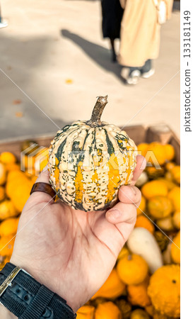 Hand holding decorative gourd with vibrant colors among a pile of pumpkins in autumn market Hand holding decorative gourd with vibrant colors among a pile of pumpkins in autumn market 133181149