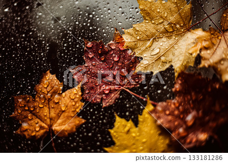 Colorful autumn leaves with water droplets on glass creating a cozy, seasonal atmosphere 133181286