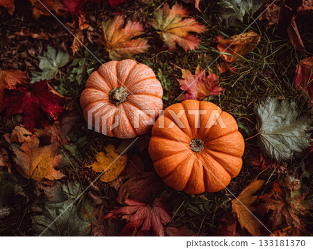 Two vibrant pumpkins resting on colorful autumn leaves in a natural outdoor setting 133181370
