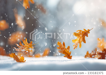Autumn leaves falling gently on a snowy ground creating a serene winter landscape Autumn leaves falling gently on a snowy ground creating a serene winter landscape 133181371