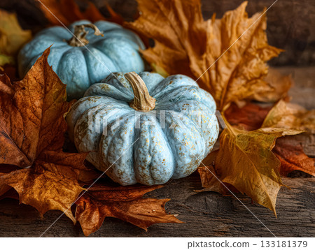 Blue pumpkins nestled among autumn leaves on rustic wooden surface showcasing seasonal beauty Blue pumpkins nestled among autumn leaves on rustic wooden surface showcasing seasonal beauty 133181379