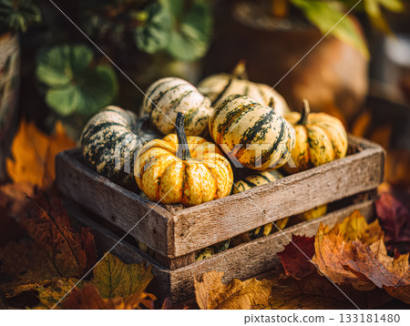 Colorful assorted pumpkins in a rustic wooden crate surrounded by autumn leaves and greenery Colorful assorted pumpkins in a rustic wooden crate surrounded by autumn leaves and greenery 133181480