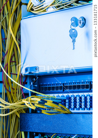 fiber optic cables connected into main data switch 133181715