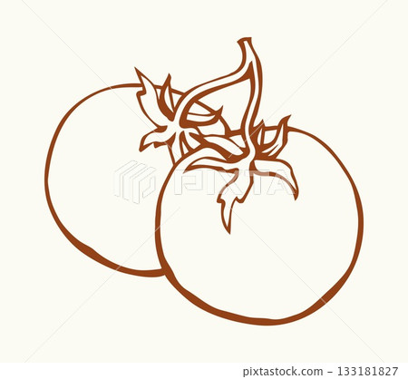 Tomatoes. Vector drawing icon sign 133181827