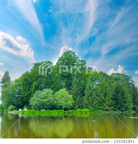 Lush Green Forest Island Reflected in a Tranquil Lake 133181851