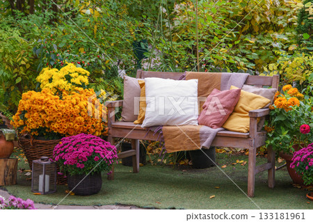 Wooden garden bench with pillows among autumn flowers and colorful foliage in fall backyard 133181961