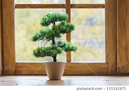Small bonsai pine tree in pot on wooden window sill with autumn background 133181975