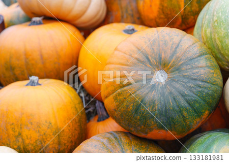 Stack, pile of colorful autumn pumpkins of various shapes and sizes, seasonal harvest background 133181981