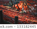 Fallen autumn leaves in the garden 133182445