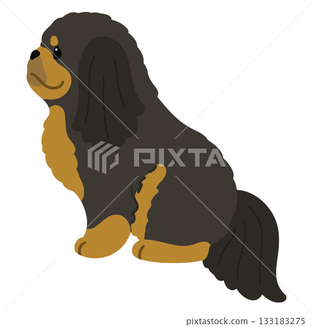 A simple and cute illustration of a black and tan Pekingese sitting sideways (no main lines) A simple and cute illustration of a black and tan Pekingese sitting sideways (no main lines) 133183275