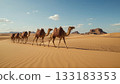 Camel caravan in desert 133183353