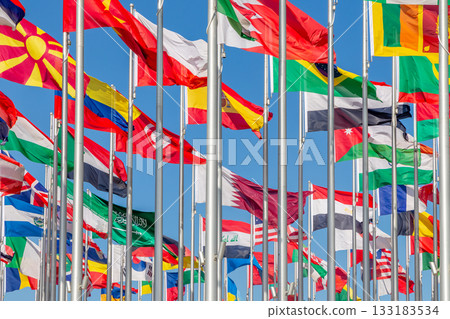 National flags of many countries waving in the wind, including Brazil, Spain, Saudi Arabia, Iraq, Oman, Sri Lanka, Macedonia, Ethiopia and Egypt, Doha, Qatar National flags of many countries waving in the wind, including Brazil, Spain, Saudi Arabia, Iraq, Oman, Sri Lanka, Macedonia, Ethiopia and Egypt, Doha, Qatar 133183534