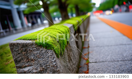 Granite curbs on a city street overgrown with moss, the importance of street maintenance and cleaning of dirt 133183903