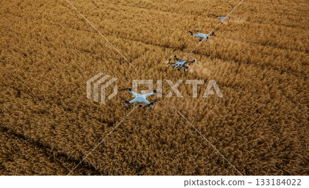 An aerial view of several drones spraying fertilizer over a wheat field, concept for farm automation and productivity improvement using technological advances An aerial view of several drones spraying fertilizer over a wheat field, concept for farm automation and productivity improvement using technological advances 133184022