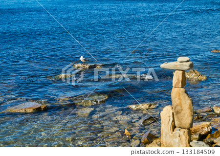 A seagull rests on rocks near the coastline, a funny stone figure on the beach, a bright sunny day poster about ecosystems and a background for the interior about nature and the sea 133184509