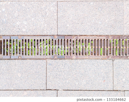 An urban gutter grate with small green plants nestled between the stones on the sidewalk. An urban gutter grate with small green plants nestled between the stones on the sidewalk. 133184662