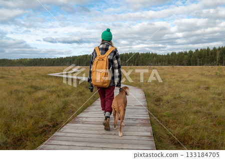 Rearview woman hold Magyar dog by collar on short leash in national park peat bog, nature stroll Rearview woman hold Magyar dog by collar on short leash in national park peat bog, nature stroll 133184705