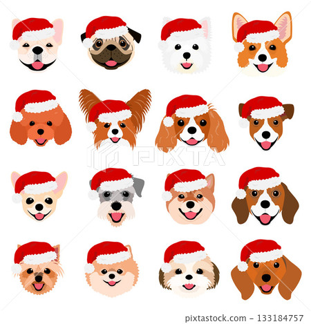 一組戴著聖誕帽的微笑小狗照片 一組戴著聖誕帽的微笑小狗照片 133184757