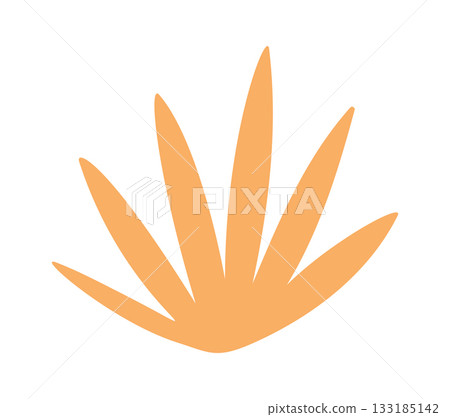 Dried grass element desert flora 133185142