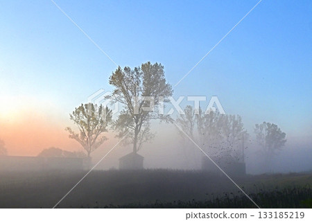 雲海－一個充滿戲劇性光彩的世界 133185219