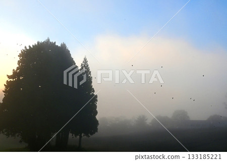 Sea of clouds - a world of dramatic brilliance Sea of clouds - a world of dramatic brilliance 133185221